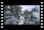 VIDEOThe Longest Winter